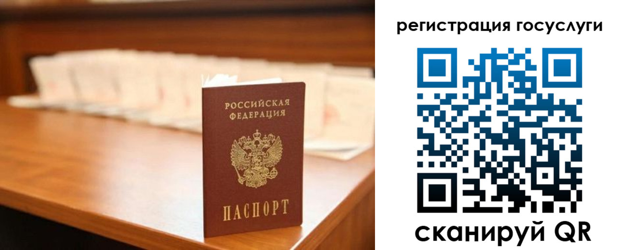 прописка в квартире в Ермолино