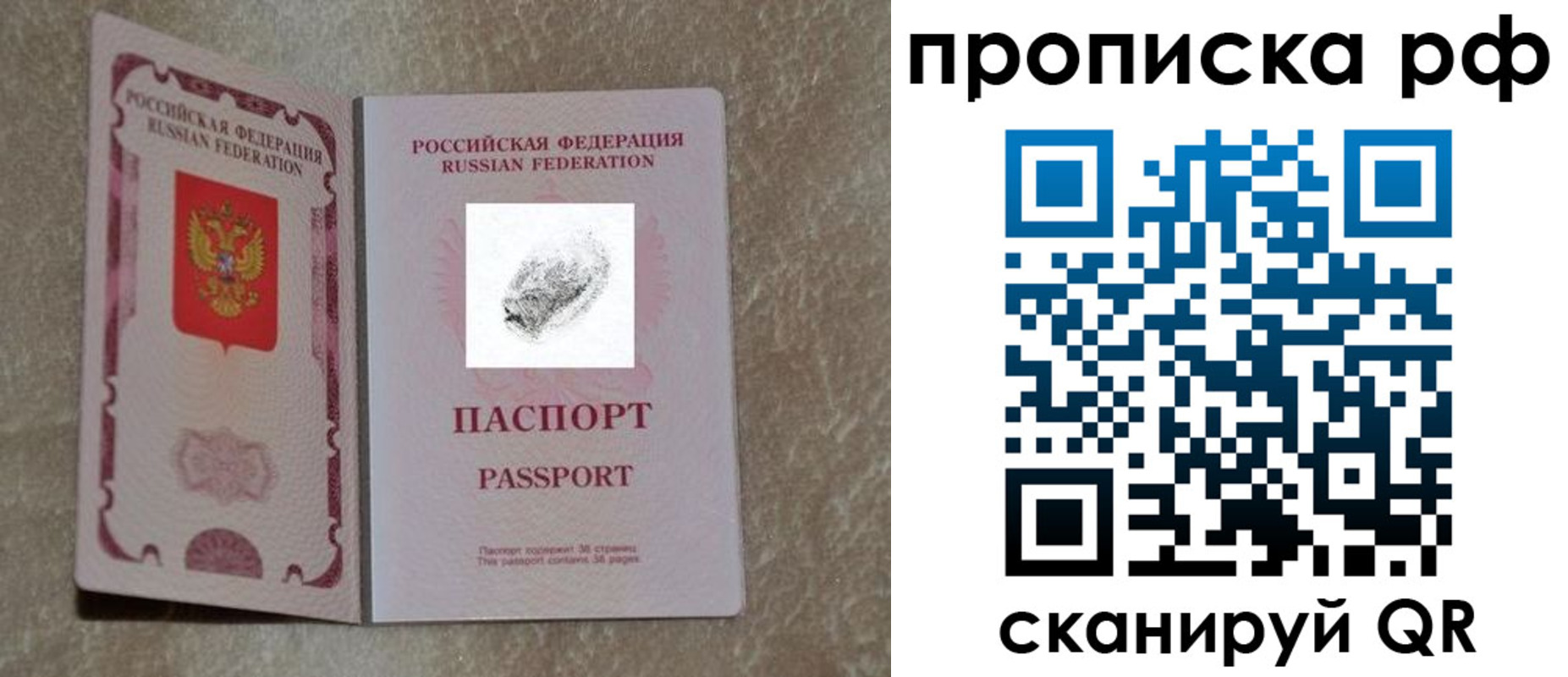 прописка поиск в Ермолино